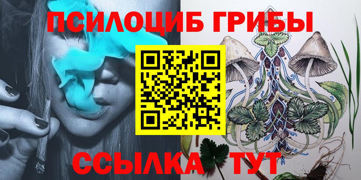 Санкт-Петербург  Галлюциногенные грибы Psilocybine cubensis  Вход с VPN  Галлюциногенные грибы Psilocybe 